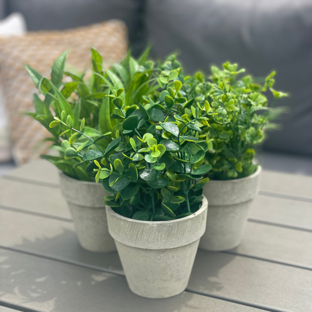 Set of 3 Artificial Shrubs in Pots