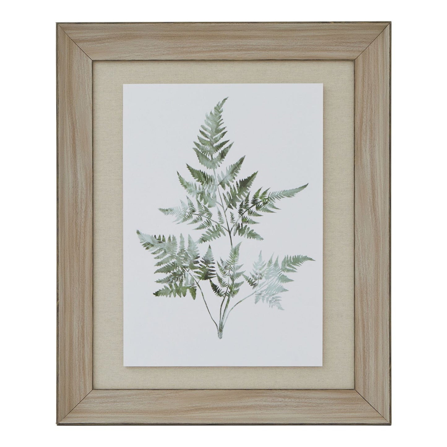 Watercolour Fern Duo In Washed Wood Frame