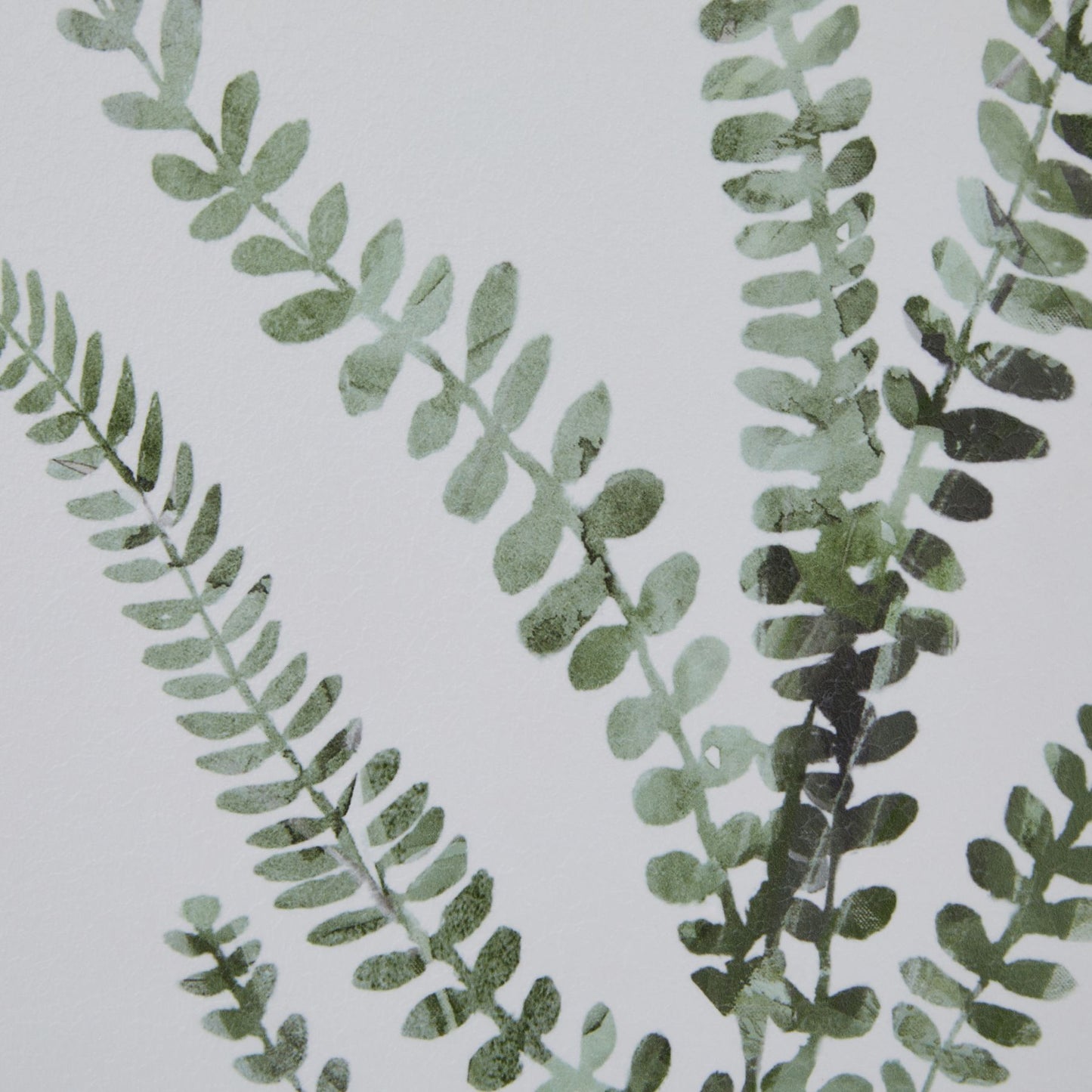 Watercolour Fern Duo In Washed Wood Frame