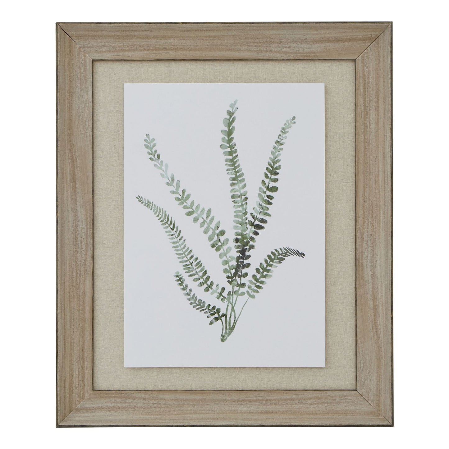 Watercolour Fern Duo In Washed Wood Frame