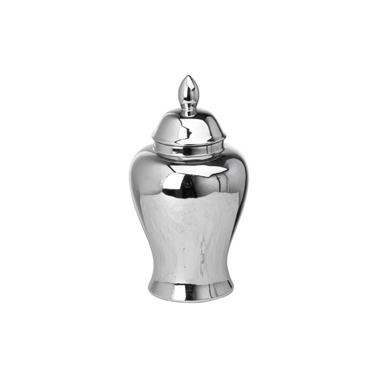 Chrome Ginger Jar