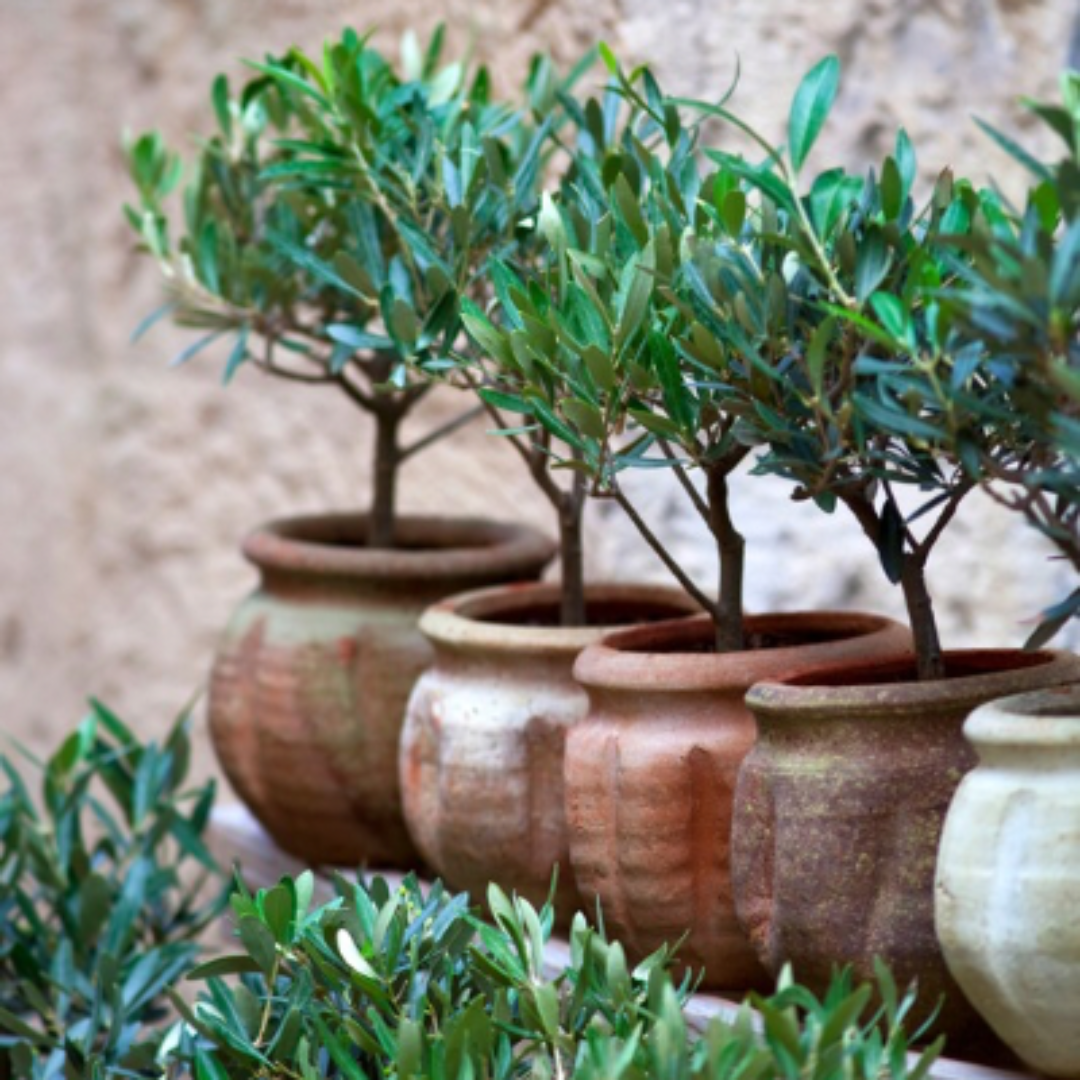 Top Summer Home Accessories to Buy in July 2026