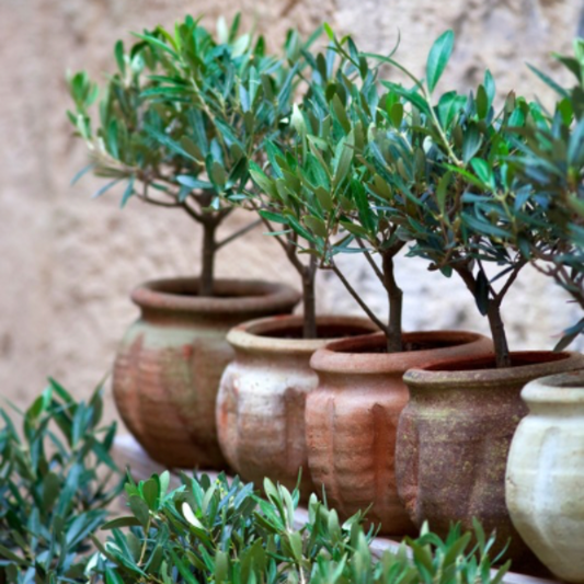 Top Summer Home Accessories to Buy in July 2026