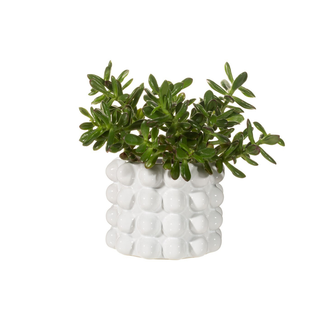 White Bobble Planter